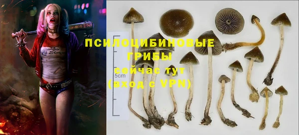 МДПВ Елизово
