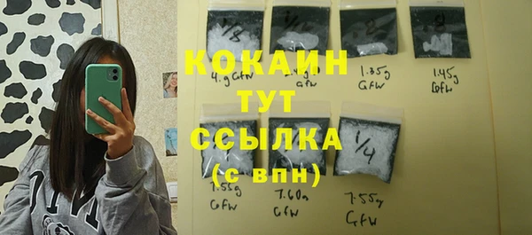 МДПВ Елизово