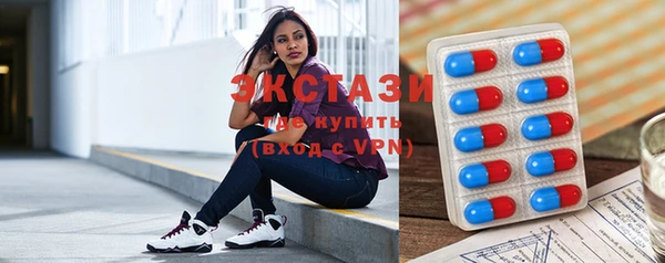 дмт Ельня