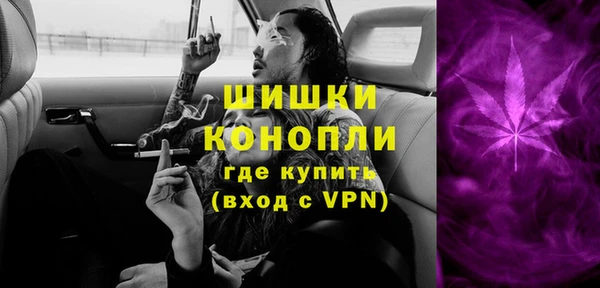 дмт Ельня