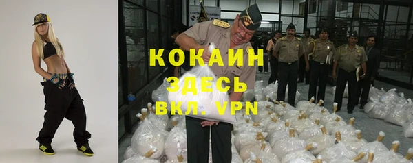 дмт Ельня