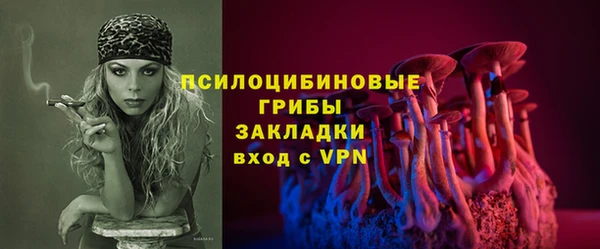 МДПВ Елизово