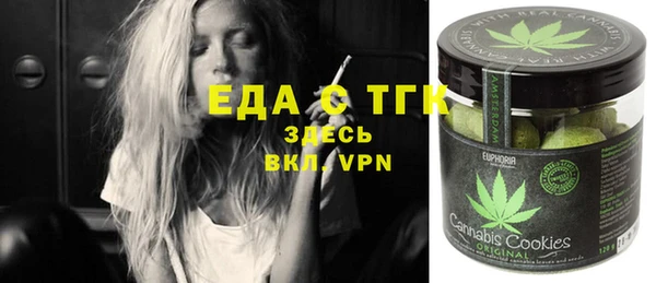 дмт Ельня