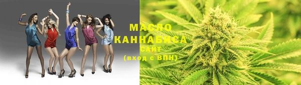 дмт Ельня