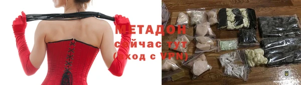 дмт Ельня