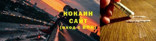 дмт Ельня