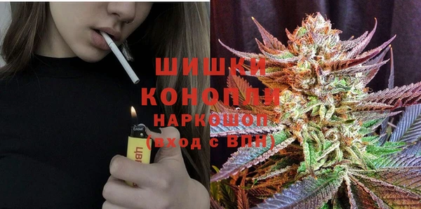 МДПВ Елизово