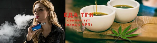 дмт Ельня