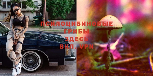 дмт Ельня