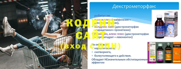 дмт Ельня