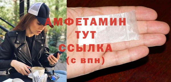 дмт Ельня