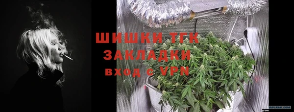 МДПВ Елизово
