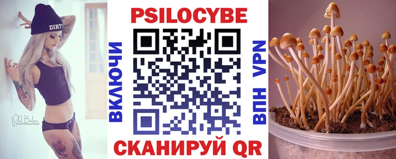 Купить  Череповец  Галлюциногенные грибы мухоморы 